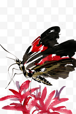 黑色的蝴蝶水墨