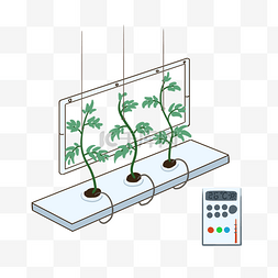 农业温室图片_科技农业温室植物
