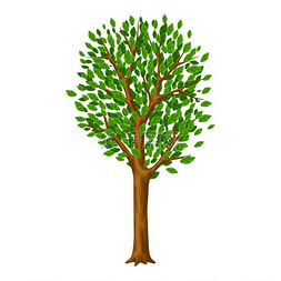 春天或夏天程式化的树与绿叶。