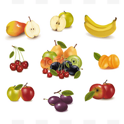 组与不同种类的水果。矢量.