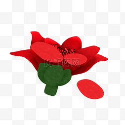 红色木兰花图片_红色木兰花免抠元素