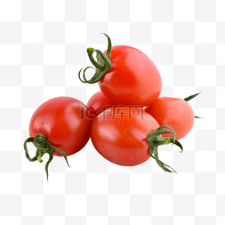 植物番茄图片_樱桃番茄植物水果农作物