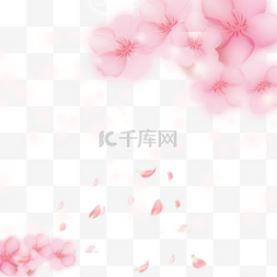 粉色花朵飘落图片_粉色花朵花瓣元素