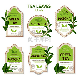 一枝绿色的叶子图片_一组带有品牌标识和逼真的茶叶分