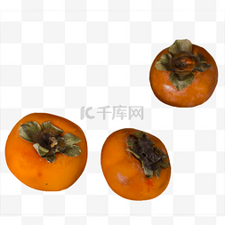 秋季水果柿子食物甜柿子