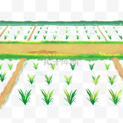 立夏夏天夏日秧苗