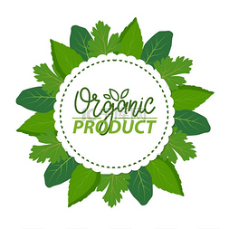 绿色香草图片_厨房香草装饰的有机产品标签，绿