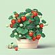 一颗茂盛草莓盆栽