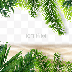 绿植背景边框图片_夏季热带背景绿叶植物沙滩