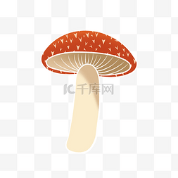 红色毒蘑菇图片_国潮风植物红色蘑菇