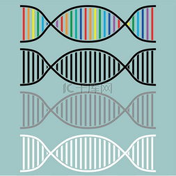 染色体分子图片_DNA 或脱氧核糖核酸图标。DNA 或脱
