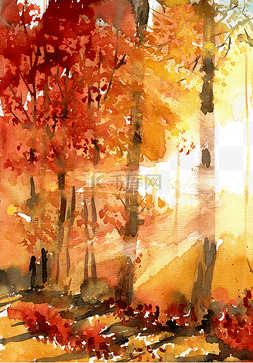 秋霜降图片_阳光透射的树林