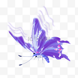 抽象多彩紫色蝴蝶