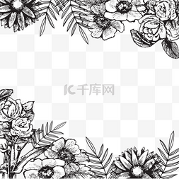 花卉线图片_黑色花朵茎叶线稿边框