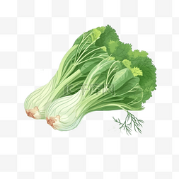 卡通手绘蔬菜绿叶菜