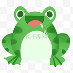 青蛙动物