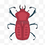 暗红色甲虫剪贴画