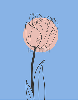 郁金香花的标志图片_蓝色背景的郁金香花.花卉卡片的