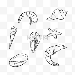 贝壳形状招牌图片_黑白线描海鲜虾子贝壳