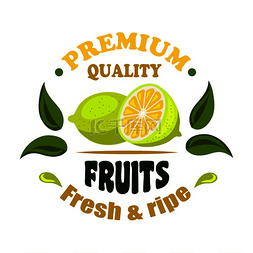 绿叶标志标志图片_新鲜和成熟的柠檬水果圆形徽章装