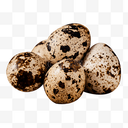 食材蛋类鹌鹑蛋