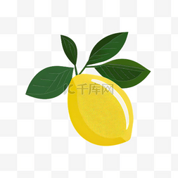 扁平风格水果柠檬