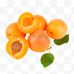 杏子熟了图片_大黄杏黄杏果肉