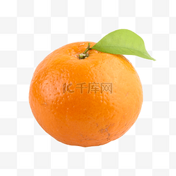 橘子柑橘汁肉饮食