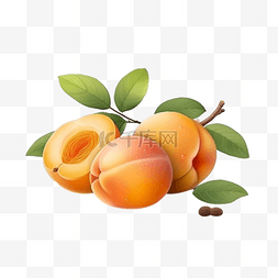卡通手绘夏季水果黄杏