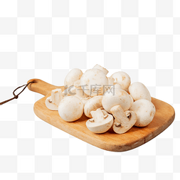 蘑菇免抠图片图片_口蘑蘑菇菌菇