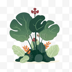 绿植植物插画图片_夏季植物扁平插画元素