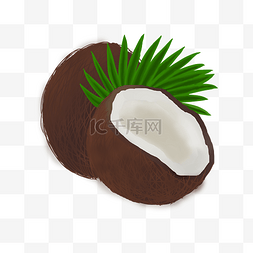 夏季棕色椰子