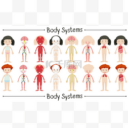 儿童科学卡通图片_男孩和女孩的身体系统