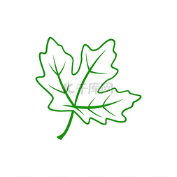绿色杆图片_叶片孤立的轮廓植物图标有叶脉和