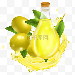 橄榄油橄榄树叶透明