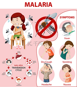 疟疾症状信息信息图解