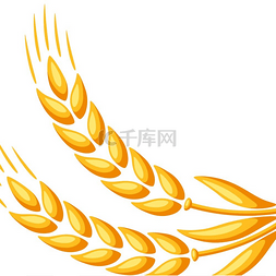 农学图片_与小麦的背景。