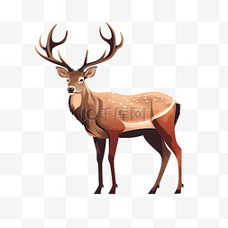 麋鹿驯鹿图片_卡通动物森林麋鹿梅花鹿手绘