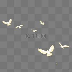 动态鸽子素材图片_白色飞舞的鸽子