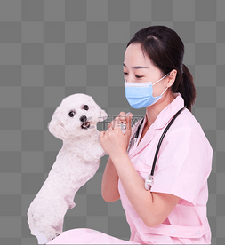 兽医抱着宠物狗比熊人物动物