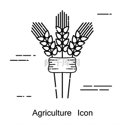 小穗象征着线性风格的农业白色背