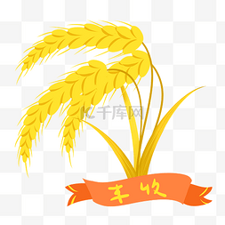 金色麦穗图片_芒种丰收麦子