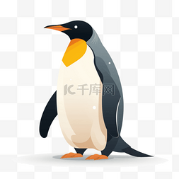 看动物放大镜图片_手绘动物扁平素材企鹅(3)