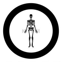 医疗骨架图片_圆形圆形黑色矢量插图中的骷髅人