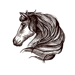 自由运动的设计图片_优雅的马雕刻素描图标侧面是有着
