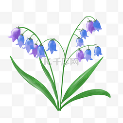 浅蓝色蓝铃花水彩植物婚礼花卉