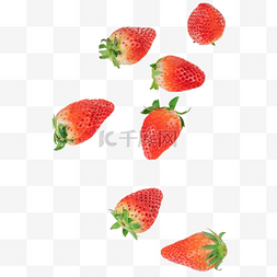 新鲜草莓采摘图片_新鲜水果下落草莓