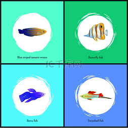 有鱼的海洋图片_蓝条纹濑鱼和斗鱼海报套装蝴蝶和