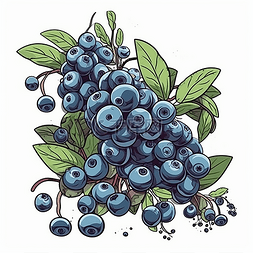 简约卡通树枝图片_一枝接满蓝莓的树枝