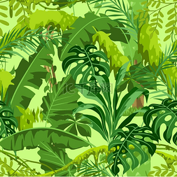 无缝树叶图片_与丛林植物的无缝模式。